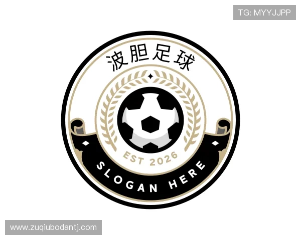 介绍足球数据分析